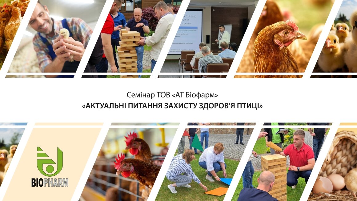 листівка