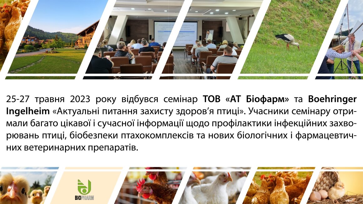 листівка