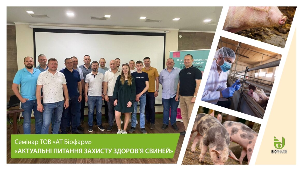 листівка