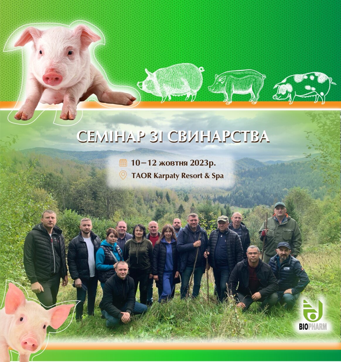 листівка