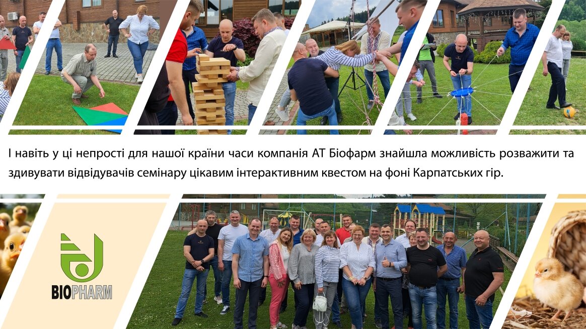 листівка