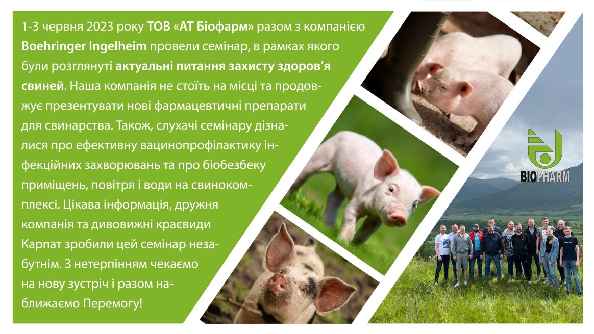 листівка